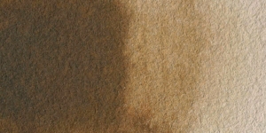Burnt Umber