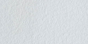Chinese White