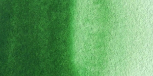Hooker Green Light
