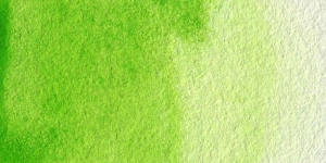 Permanent Yellowish Green