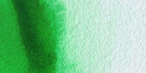 Permanent Green