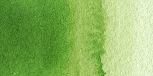 Sap Green