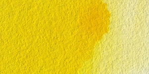 Cadmium Yellow Medium Hue