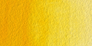 Cadmium Yellow Deep Hue