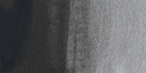 Charcoal Gray