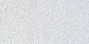 Chinese White