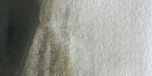 Davy's Gray