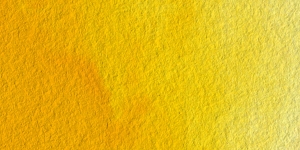 Gamboge Hue