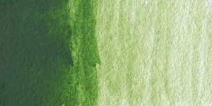 Hooker's Green Light Hue