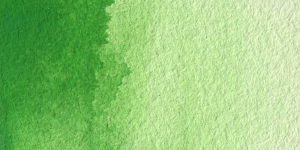 Permanent Green Light