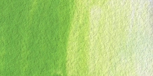 Phthalo Yellow Green