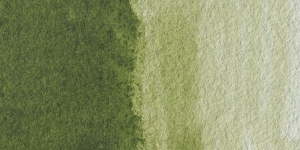 Sap Green