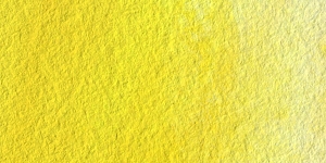 Cadmium Yellow Medium