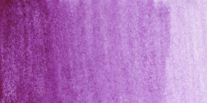 Violet Rose