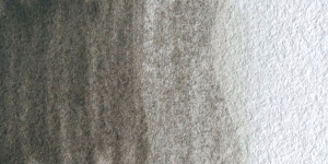Voronezhskaya Black