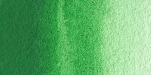 Yellow Green