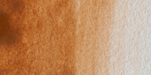 Brown Ochre Light