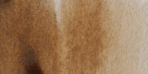 Burnt Umber