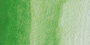 Cadmium Green Light