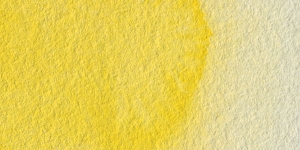 Cadmium Yellow Medium