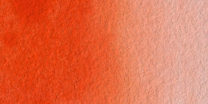 Coral Orange