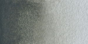 Davy's Gray