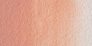Flesh Tint
