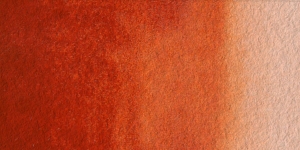 Golden Barok Red