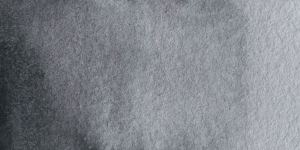 Neutral Tint