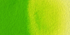 Old Holland Yellow Green