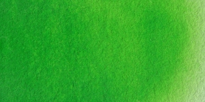 Old Holland Green Light