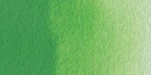 Permanent Green