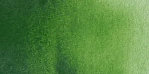 Sap Green Lake Extra