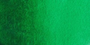 Scheveningen Green