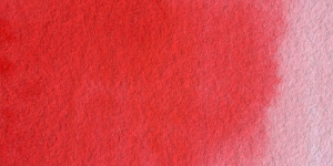 Scheveningen Red Medium