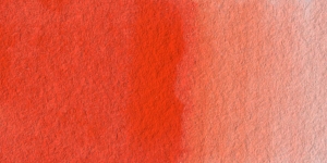 Scheveningen Red Scarlet