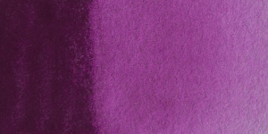 Scheveningen Violet