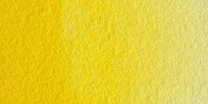 Scheveningen Yellow Medium
