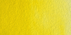 Scheveningen Yellow Lemon