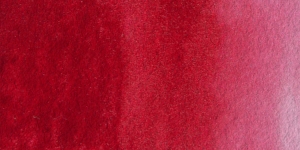 Burgundy Wine Red