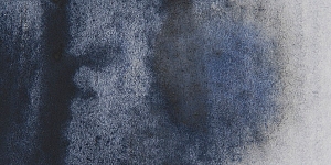 Payne's Gray