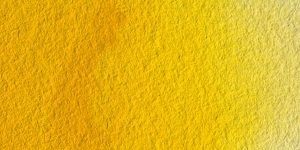 Cadmium Yellow Deep Hue