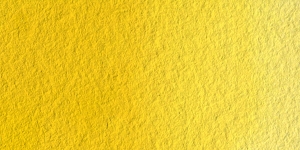 Cadmium Yellow Hue