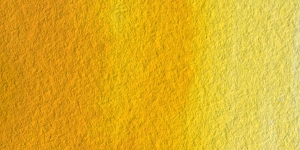 Gamboge Hue