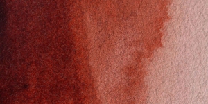 Transparent Red Brown