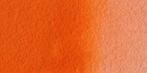 Warm Orange