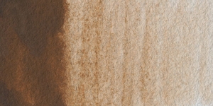Antique Cypress Bark