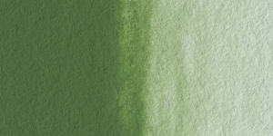 Antique Dark Green