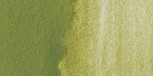Antique Elm Green