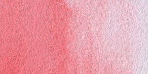 Antique Rose